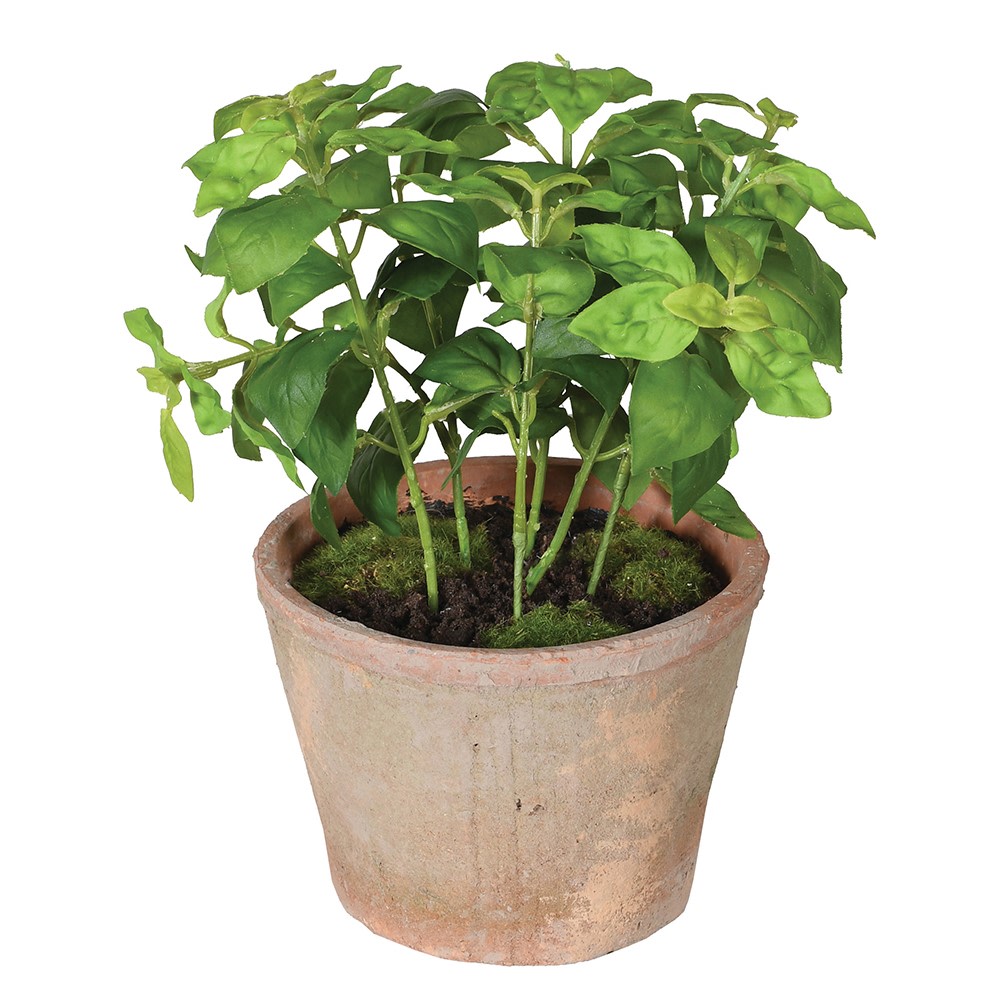 Artificial Potted Basil in Clay Pot