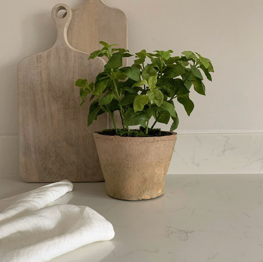 Artificial Potted Basil in Clay Pot
