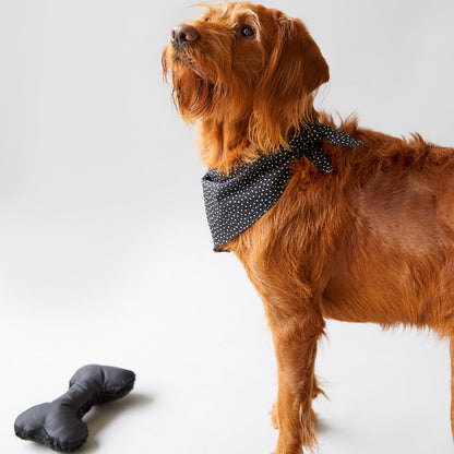 Black Bone Dog Toy