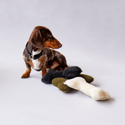 Neutral Bone Dog Toy