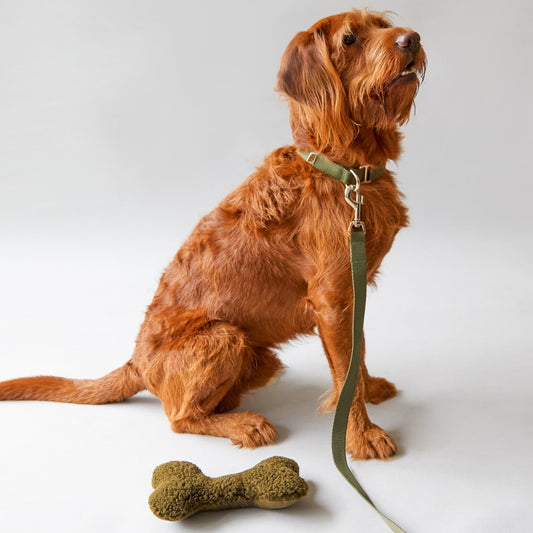 Khaki Bone Dog Toy